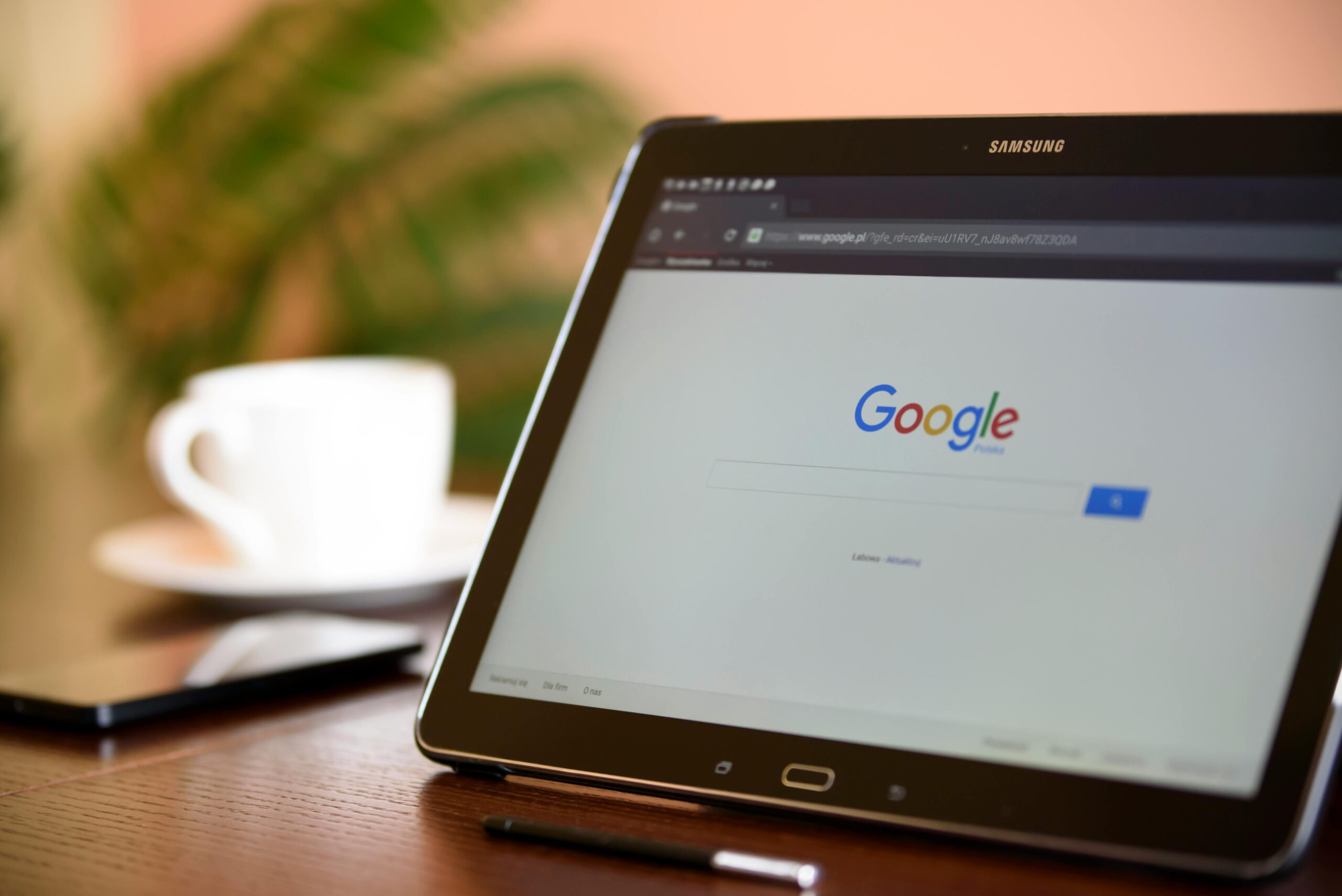SEO Agency